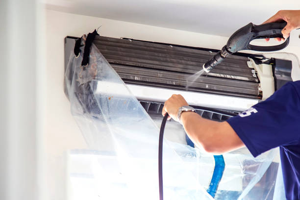 Best Air Duct Mold Removal  in Essex Fells, NJ